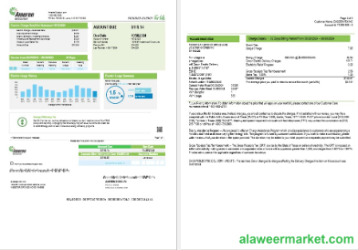 USA Ameren Missouri electricity business utility bill template in Word and PDF formats (2 pages)